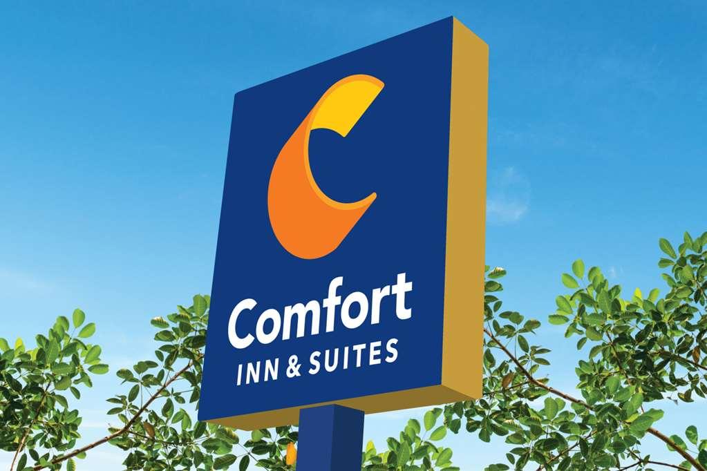 Comfort Inn & Suites هوما المظهر الخارجي الصورة